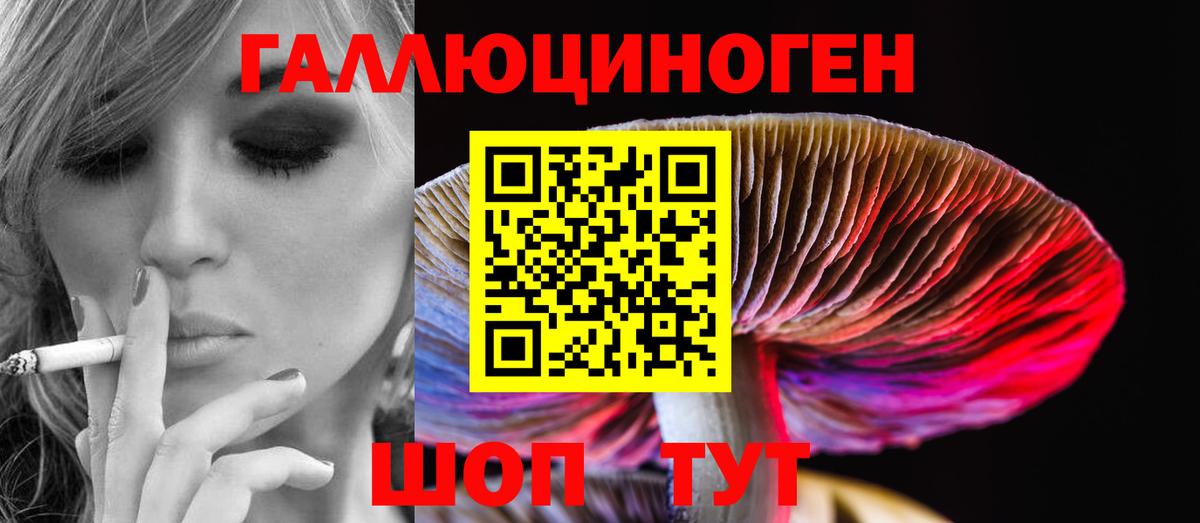 где продают наркотики  Псилоцибиновые грибы ЛСД  Вход с VPN  Заречный  Галлюциногенные грибы Magic Shrooms 